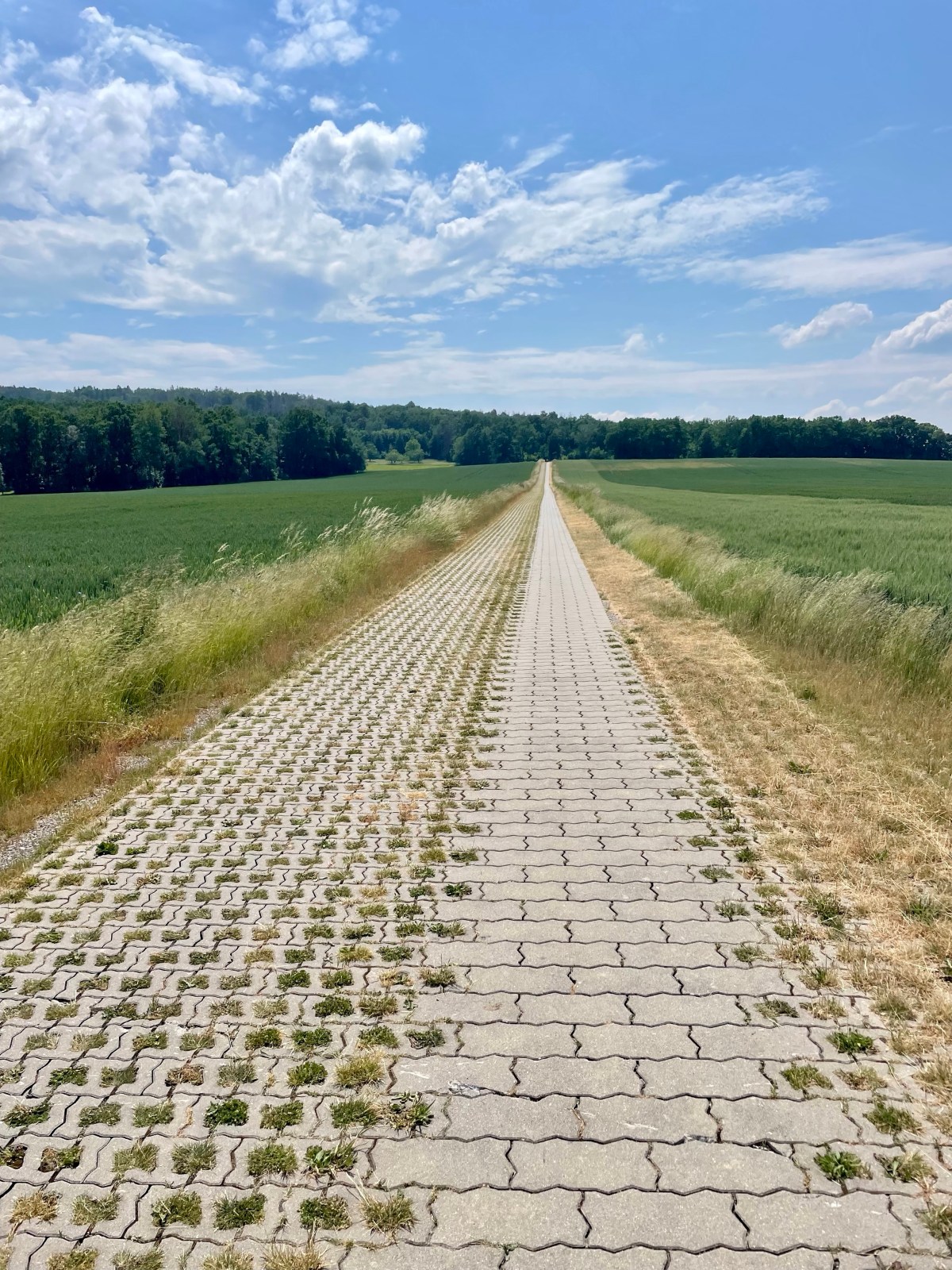 3. Tag Bautzen Stausee nach Gaussig 19&nbsp;km