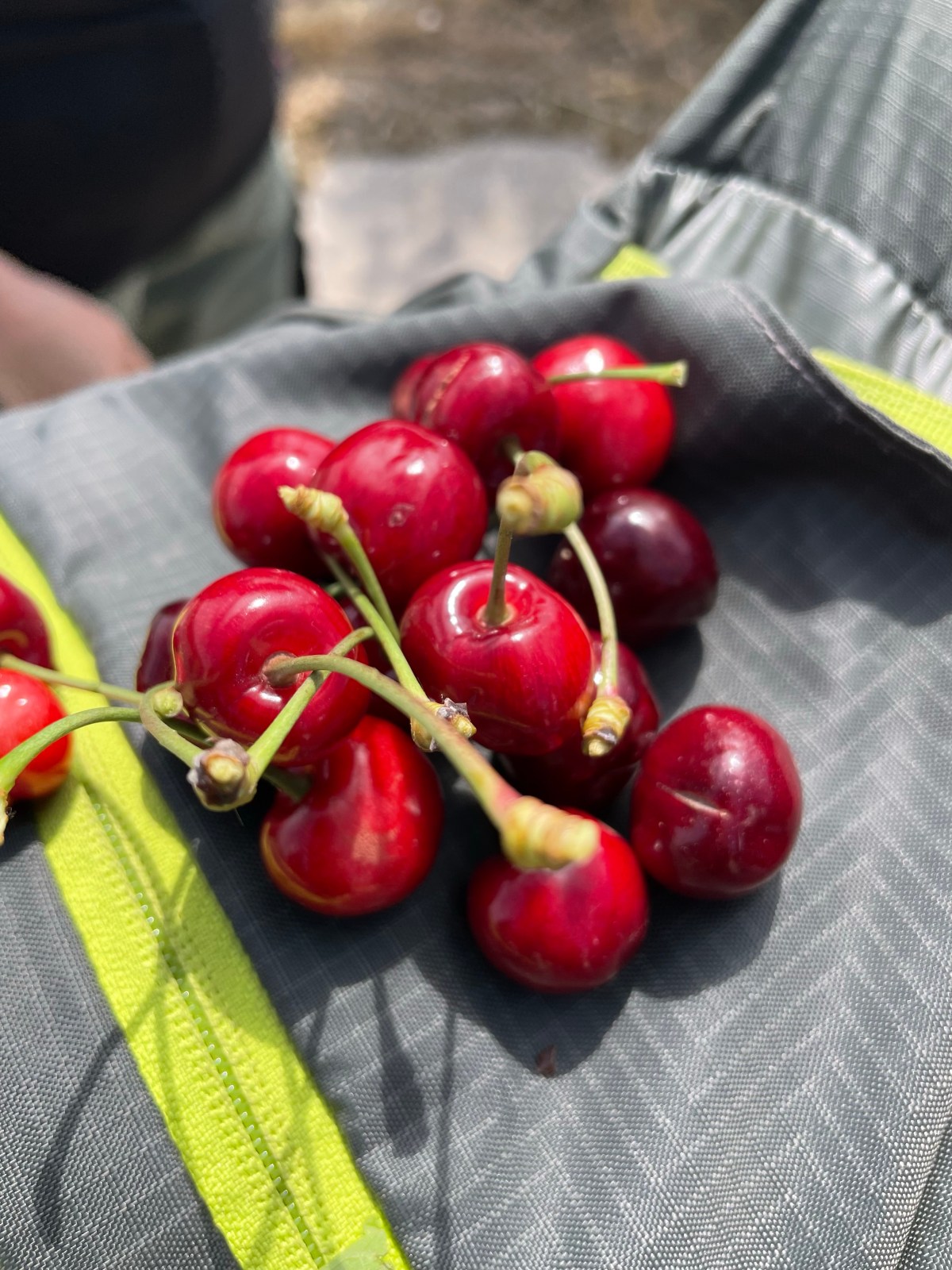 7. Tag Barth Mühle Stellplatz nach Döbeln Stellplatz 25&nbsp;km